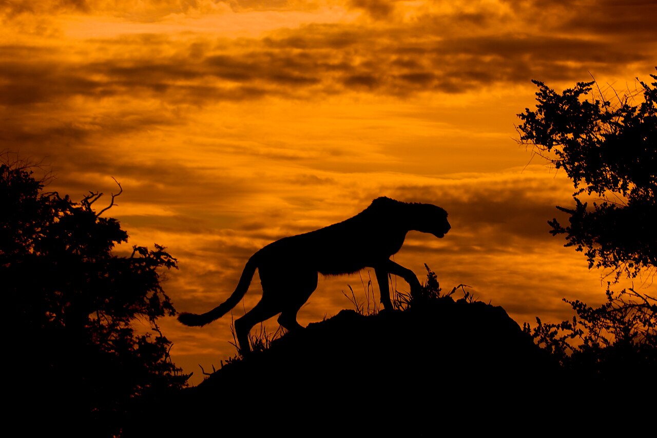 Botswana