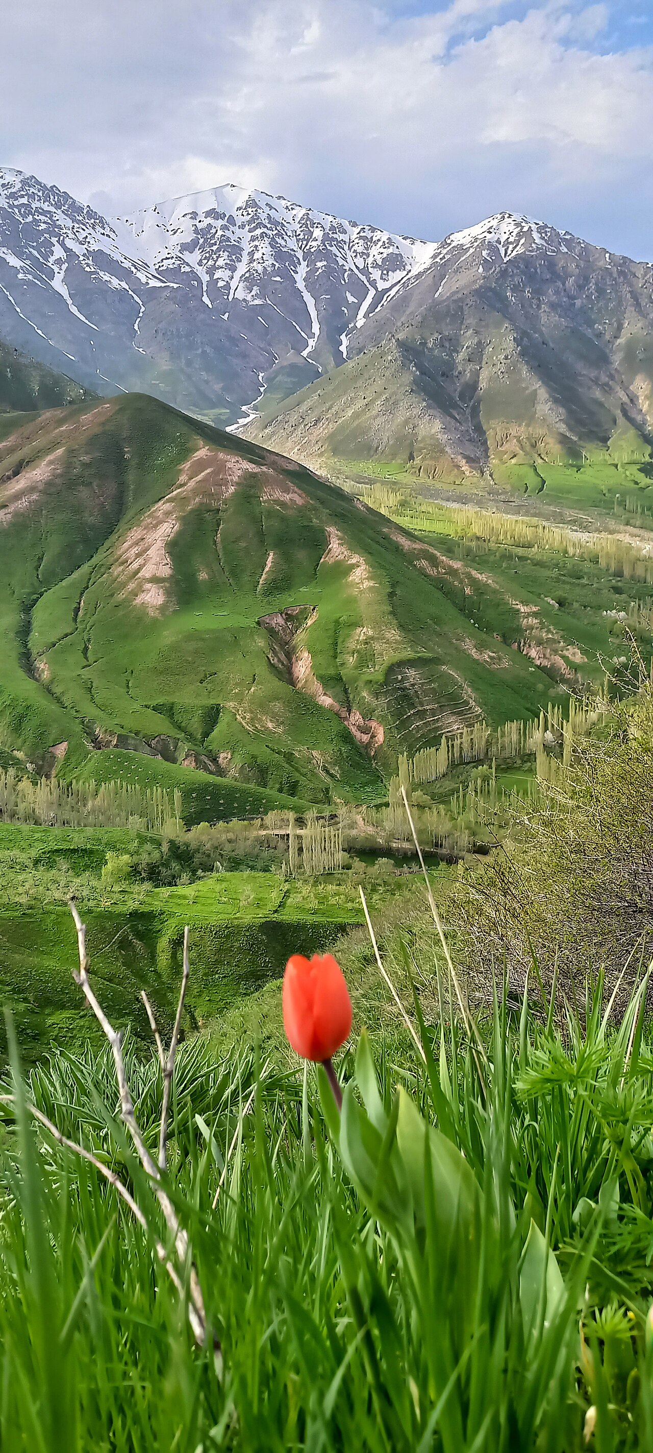 Foto fra Tadsjikistan – Лола 3