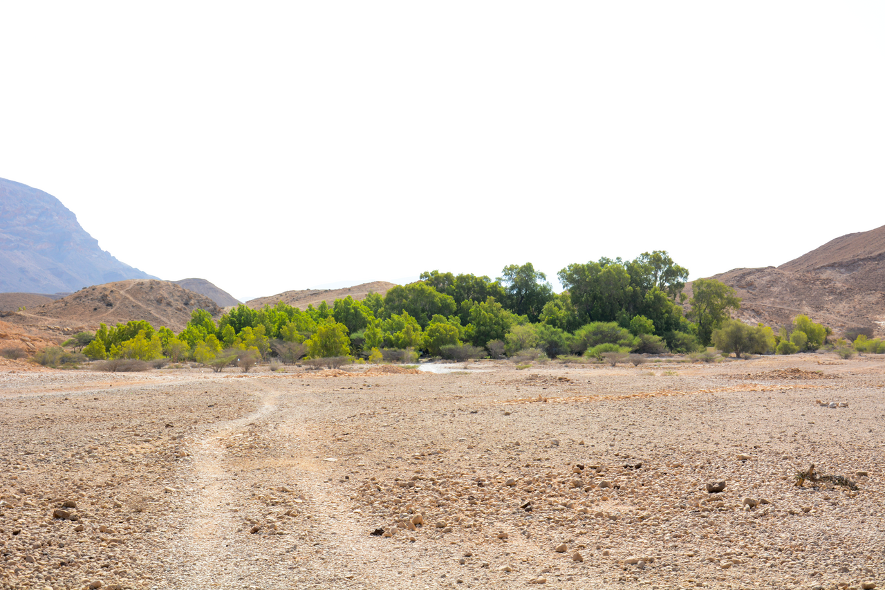 Foto fra Somalia – Biyo Kulule