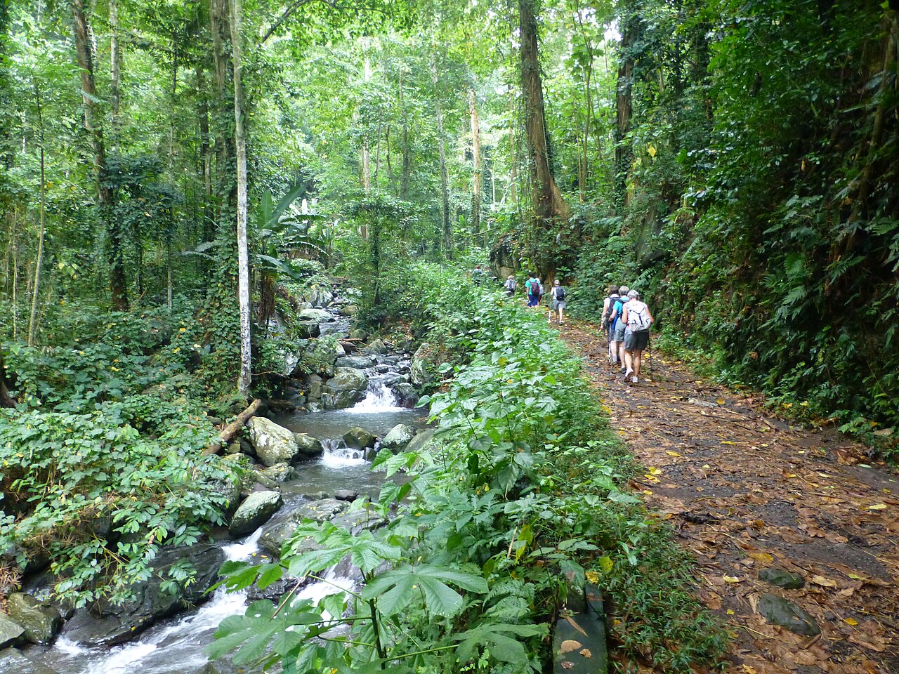 Foto fra São Tomé og Príncipe – Randonnée à São Tomé