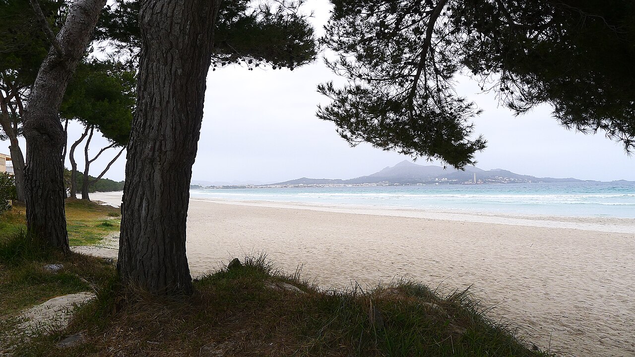 Puerto Pollensa i Spania