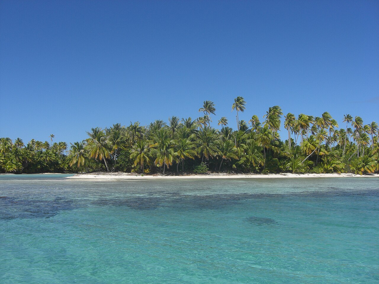 Foto fra Rangiroa, Tahiti – Rangiroa, Tuamotus