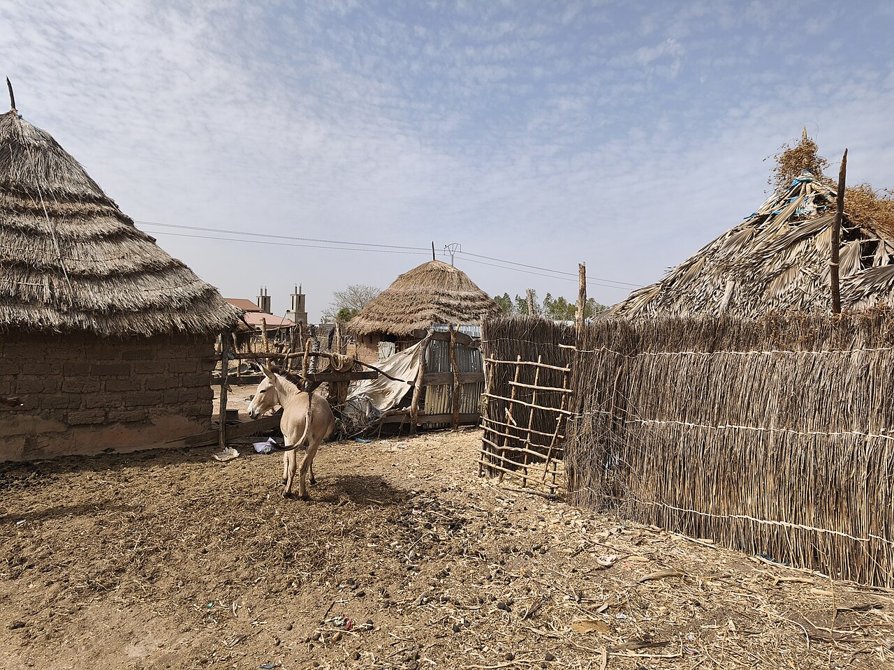 Foto fra Gambia – Gambija 5. ožujka