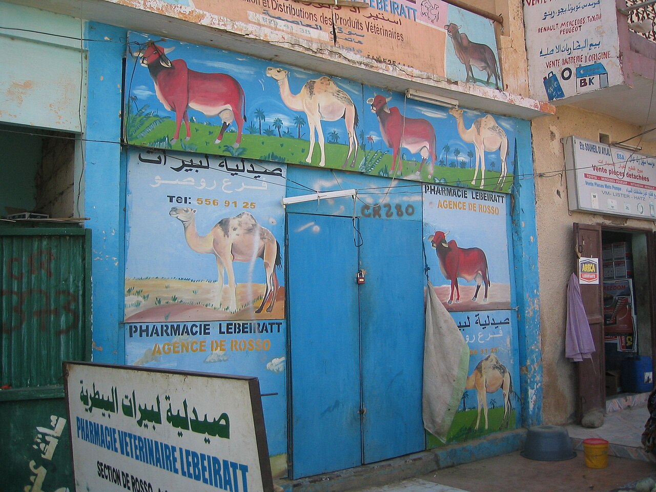 Foto fra Rosso, Mauritania – RossoVétérinaire