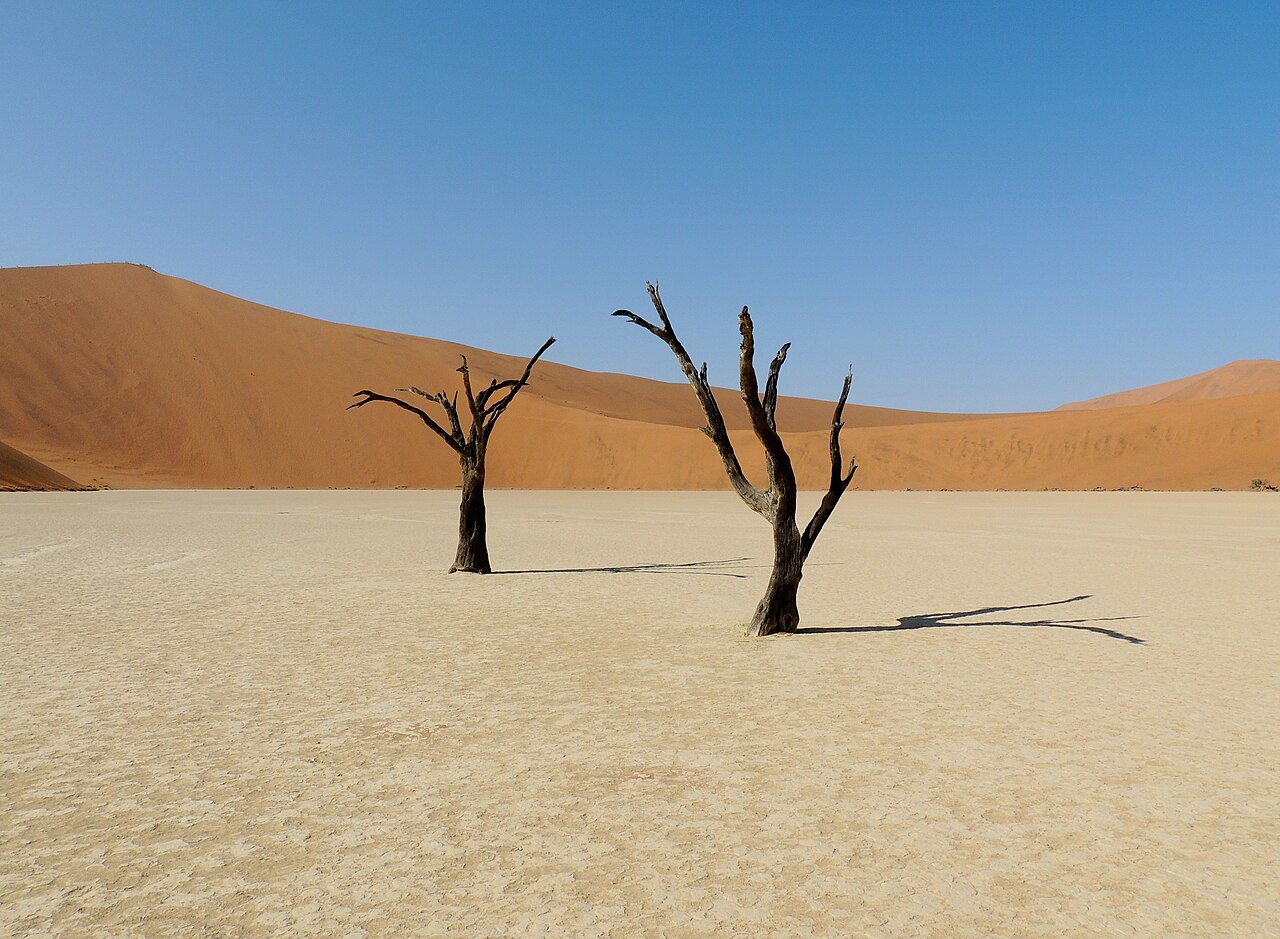 Foto fra Sossusvlei, Namibia – Sossusvlei 4
