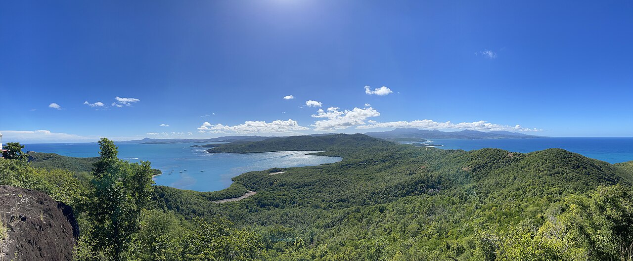 Foto fra Martinique – Caravelle Natural reserve
