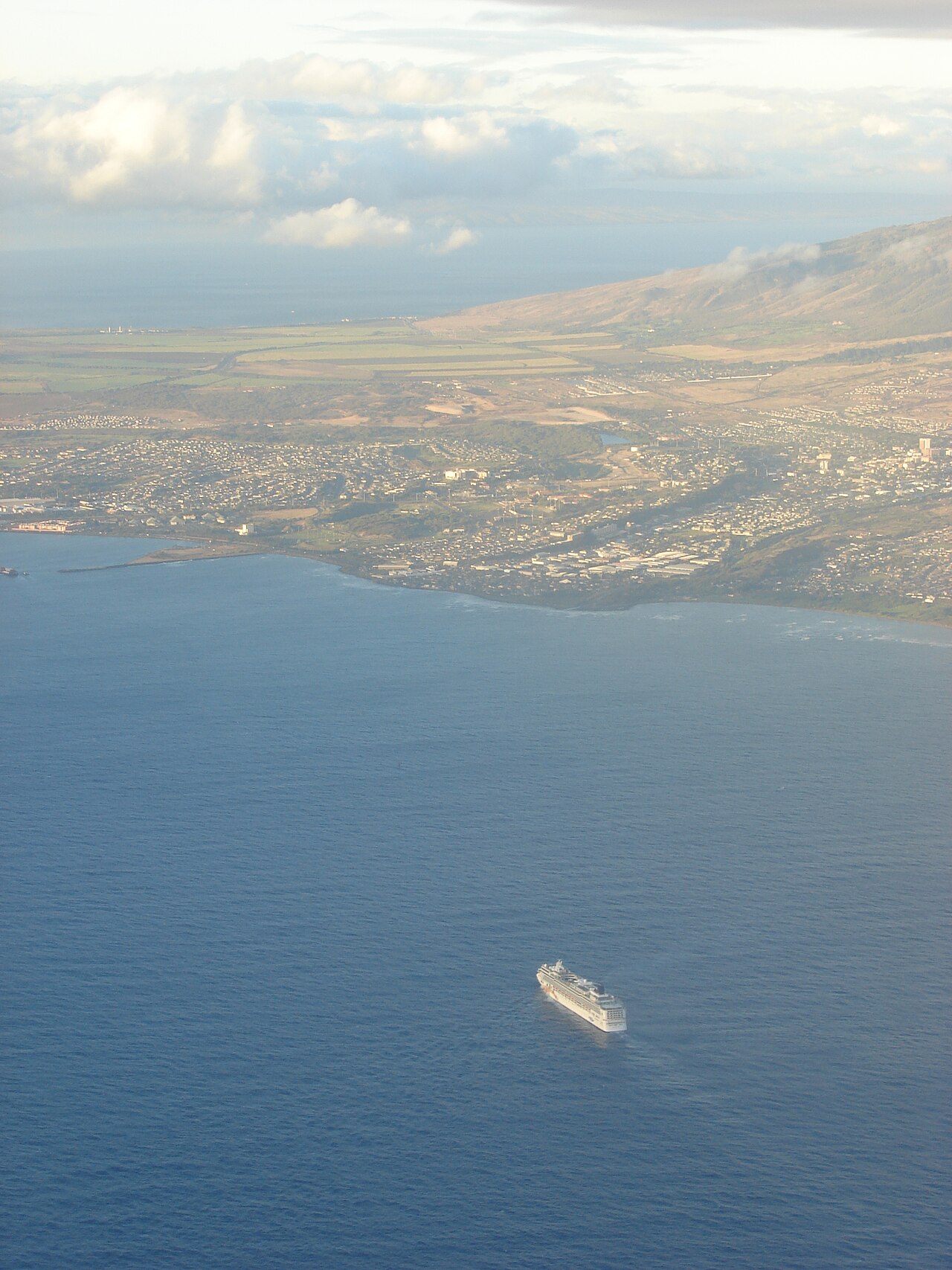 Foto fra Maui, Hawaii – Starr 070727-7589 Melinis repens