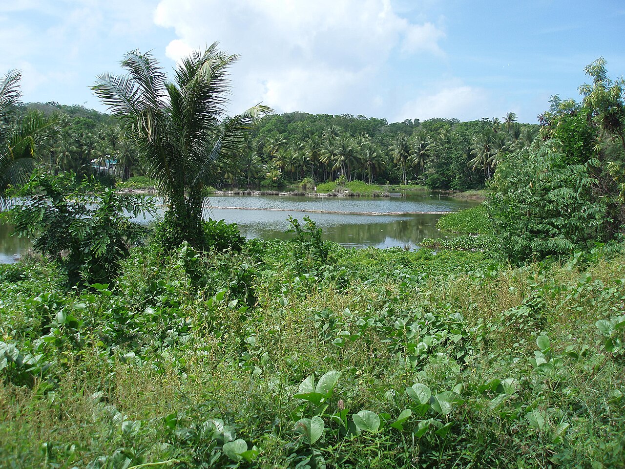 Foto fra Nauru – NauruBuada077