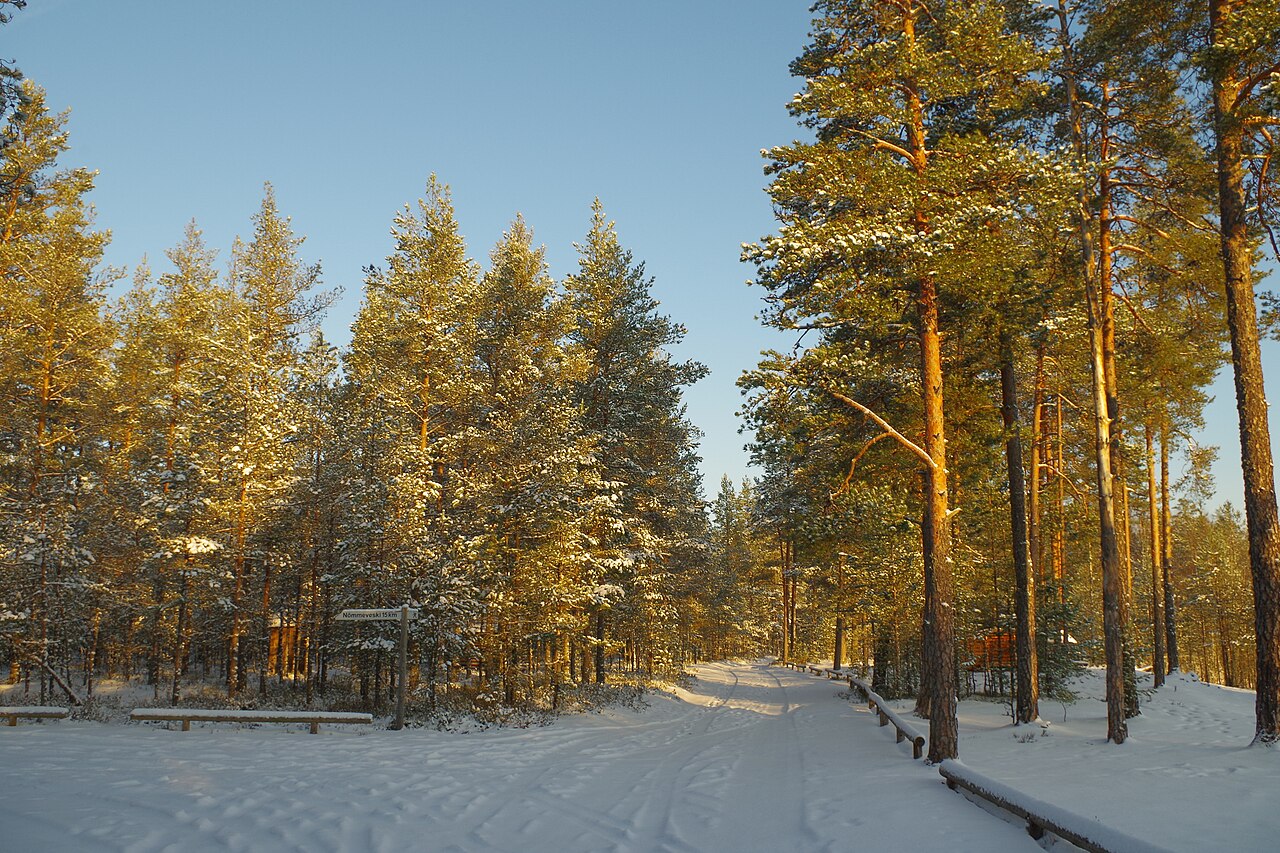 Foto fra Lahemaa Nasjonalpark, Estland – Kalmeoja