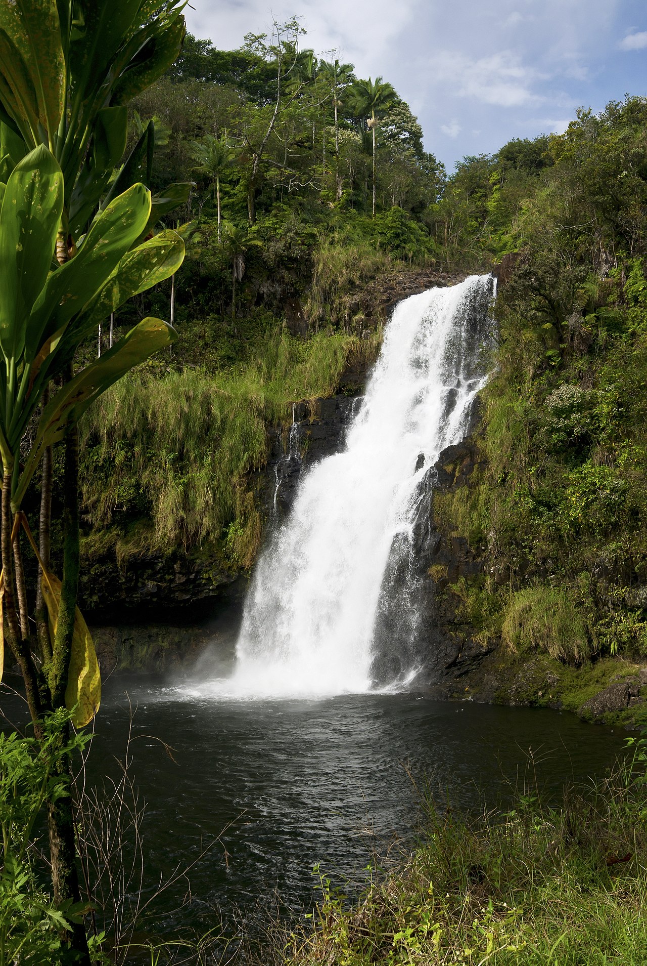 Foto fra Hawaii – Kulaniapia Falls, Big Island