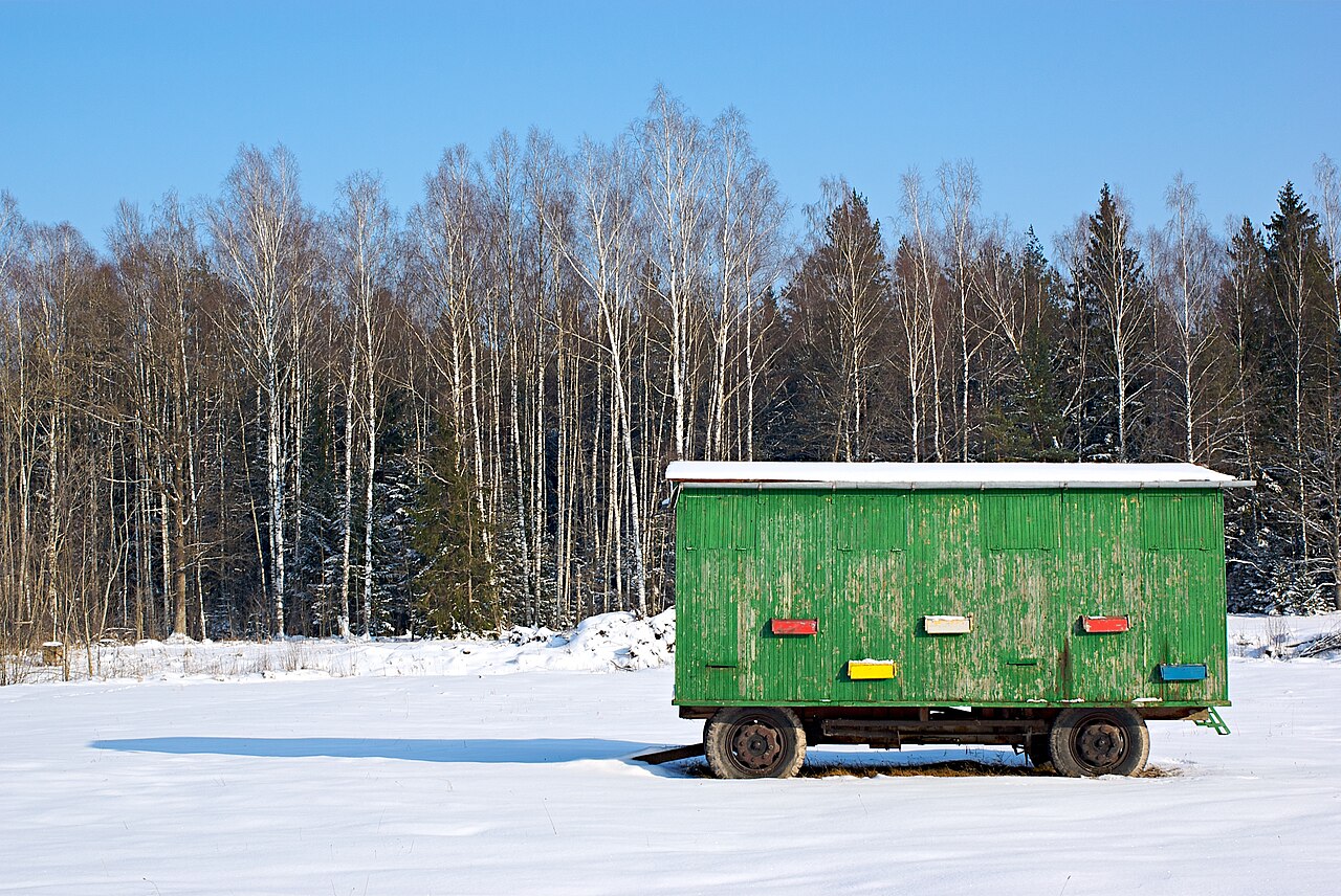 Foto fra Latvia – Latvian beehive trailer II