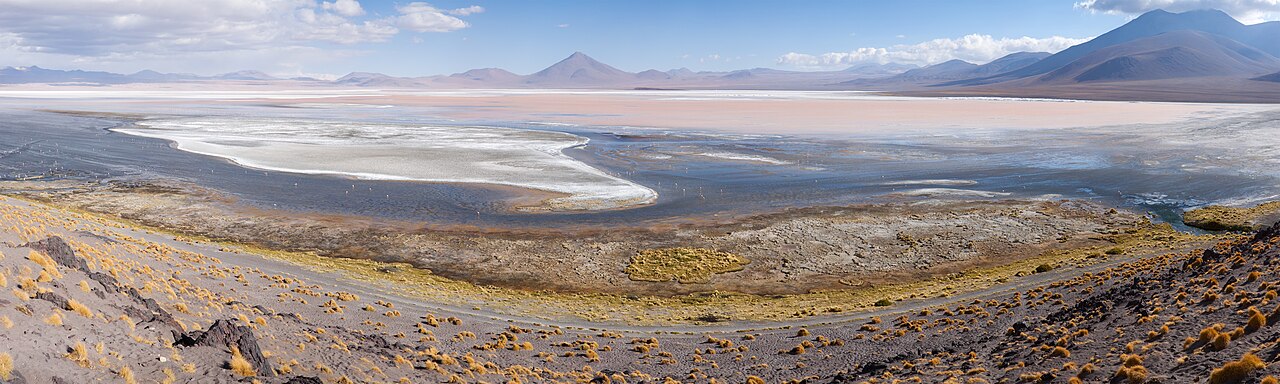 Foto fra Bolivia – Laguna Colorada MC