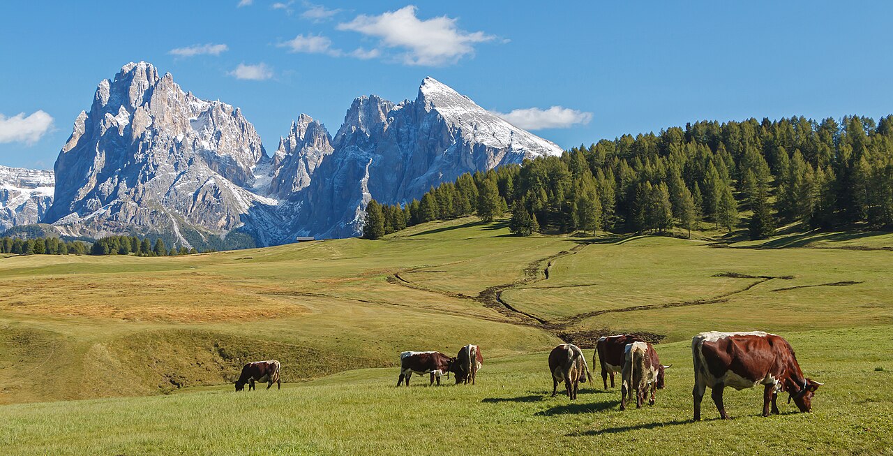 Foto fra Italia – Seiser Alm 11