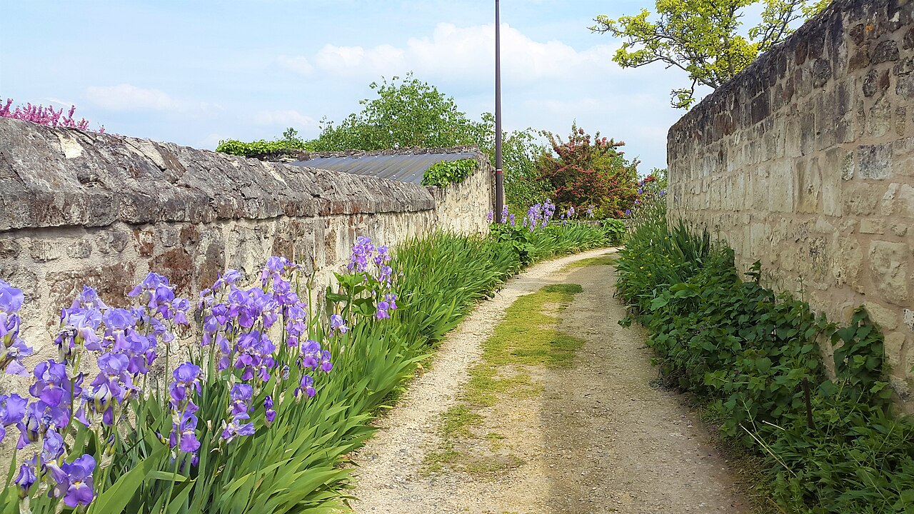 Foto fra Frankrike – Montsoreau-val-de-loire