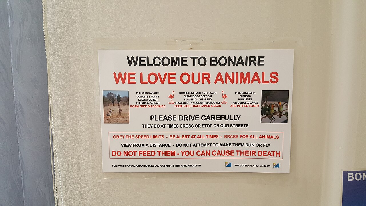 Foto fra Bonaire – Sign on Bonaire-1
