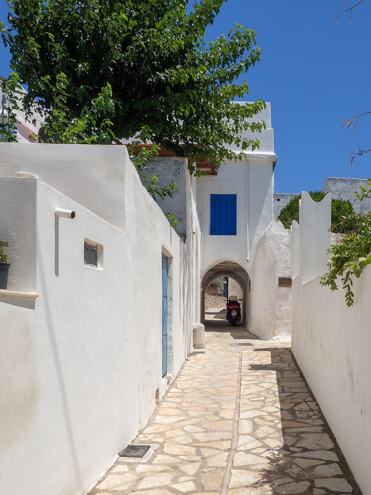 Foto fra Naxos, Hellas – 20210714 Ακαδήμοι 7032