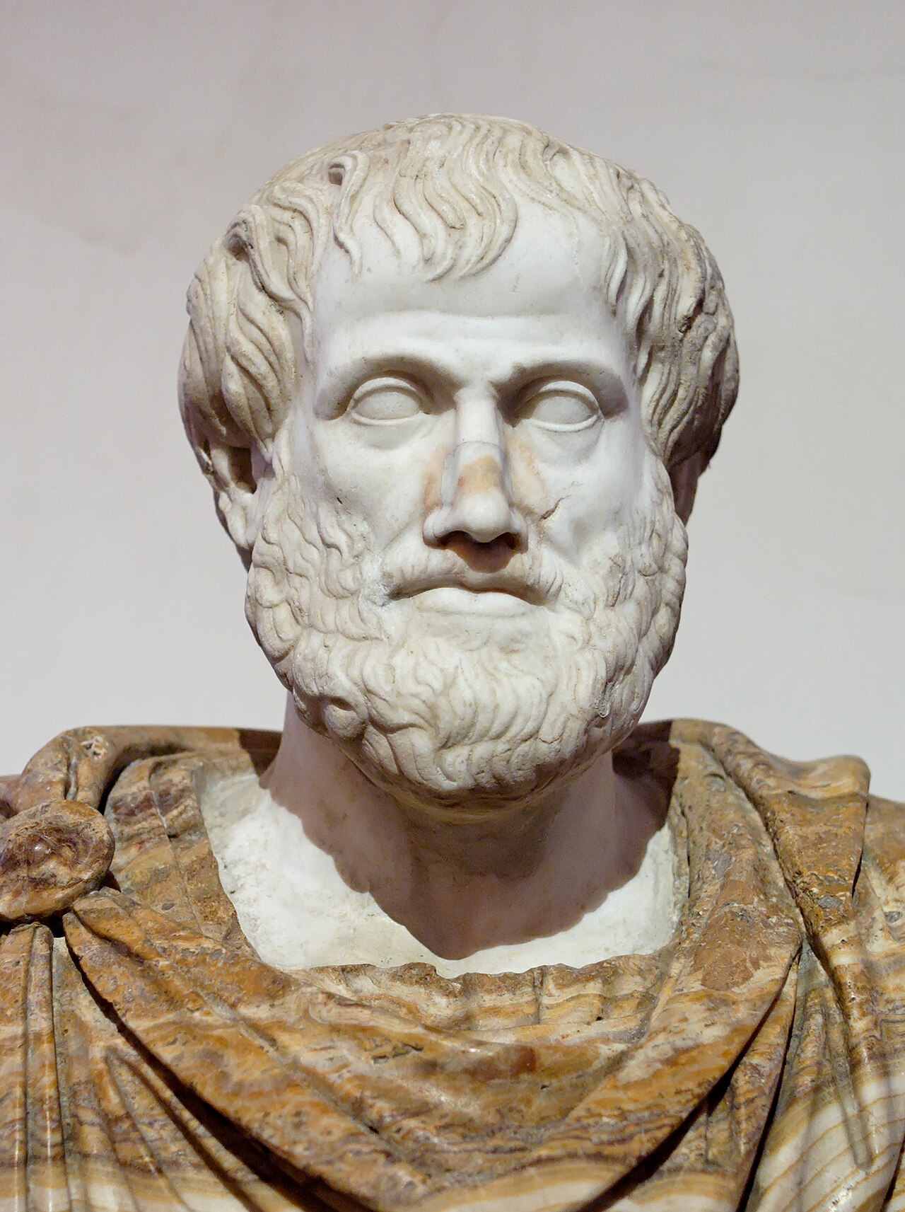 Foto fra Halkidiki, Hellas – Aristotle Altemps Inv8575