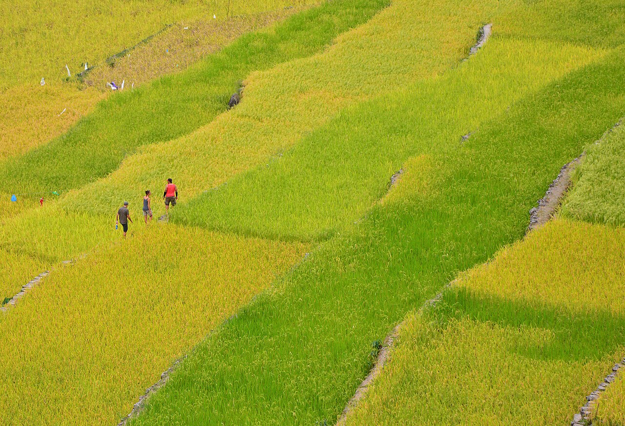Foto fra Banaue, Filippinene – MOMENT AT THE BATAD