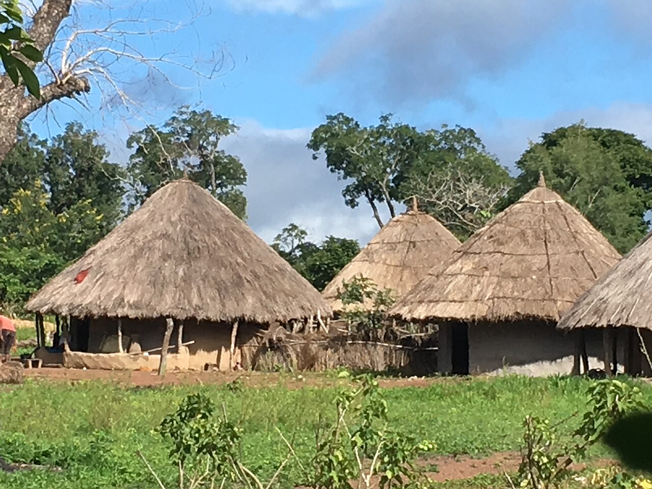 Foto fra Faranah, Guinea – Rundhäuser 9497