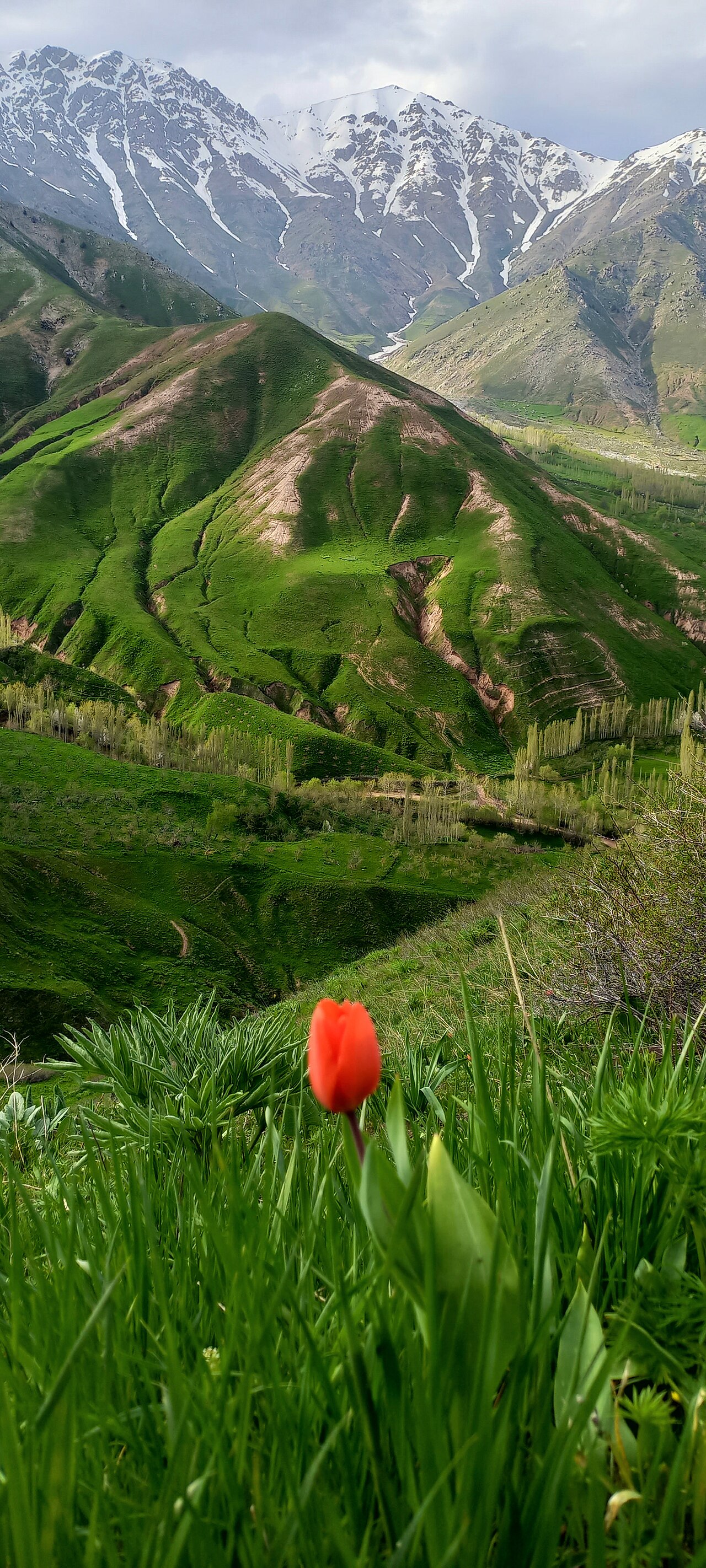 Foto fra Tadsjikistan – Лола 4