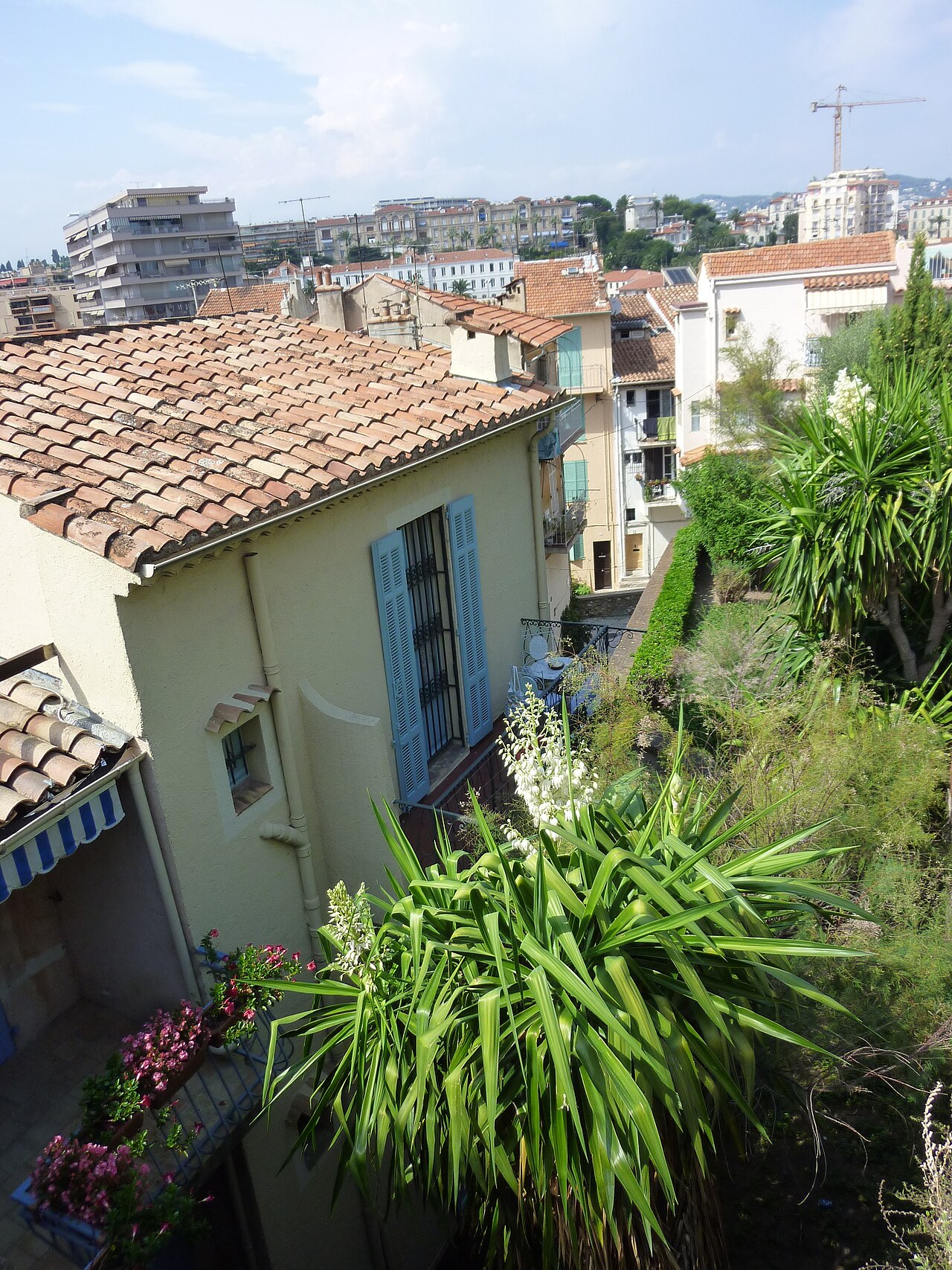 Foto fra Cannes, Frankrike – Cannes P1010859