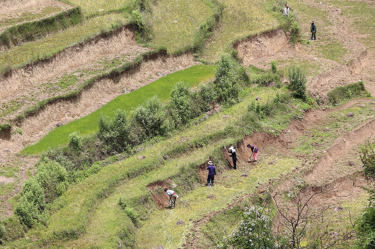Foto fra Bhutan – Agriculture in Bhutan 01