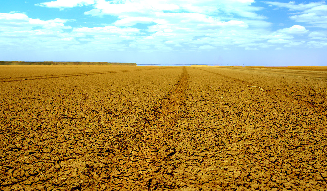 Foto fra Marsabit, Kenya – Tracks Chalbi Desert