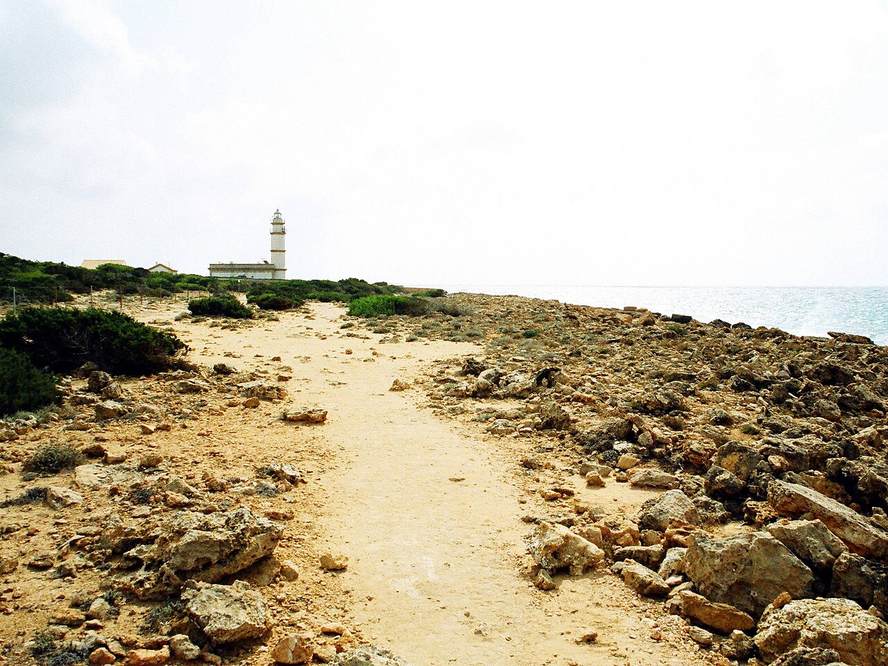 Foto fra Mallorca, Spania – Cap de ses Salines