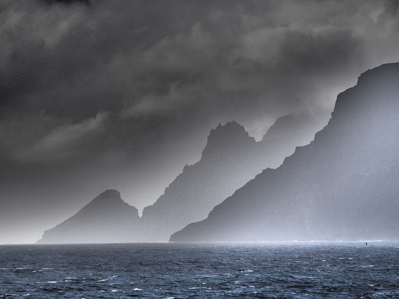 Foto fra Austral-øyene, Tahiti – Crozet CélineLeBohec IPEV-CNRS-CSM