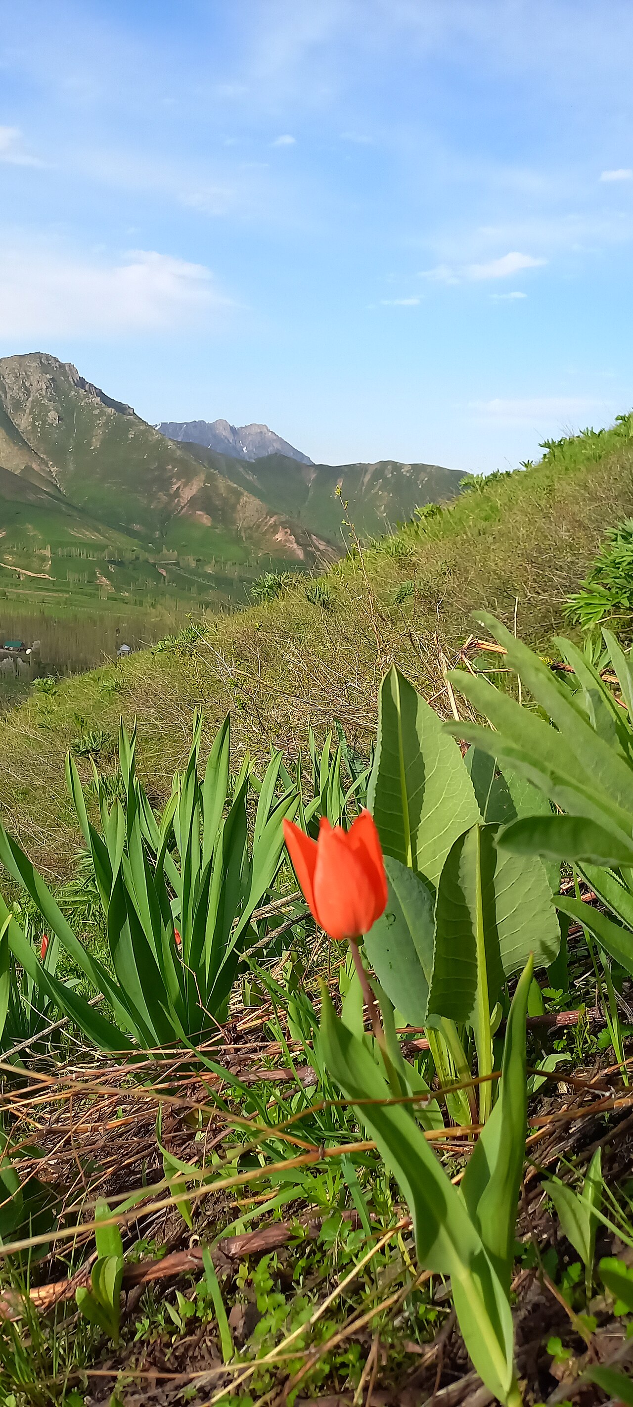 Foto fra Tadsjikistan – Лола 2