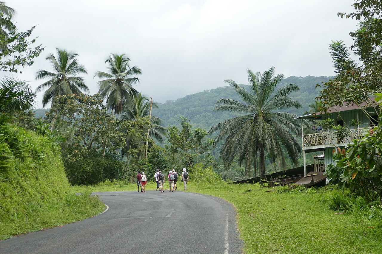 Foto fra São Tomé og Príncipe – Randonneurs à São Tomé