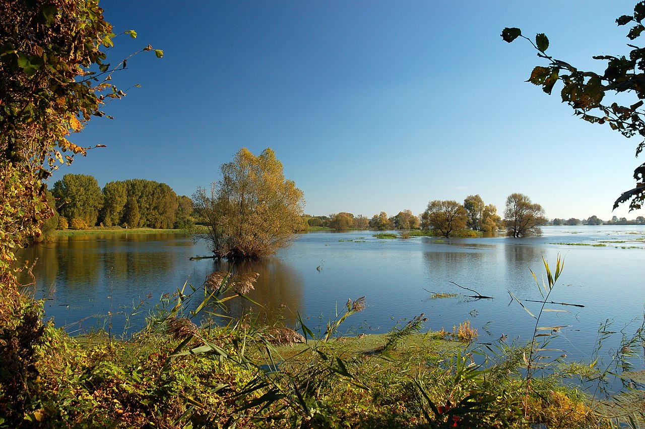 Foto fra Polen – -10-10-oderpruch-pl-by-RalfR-23