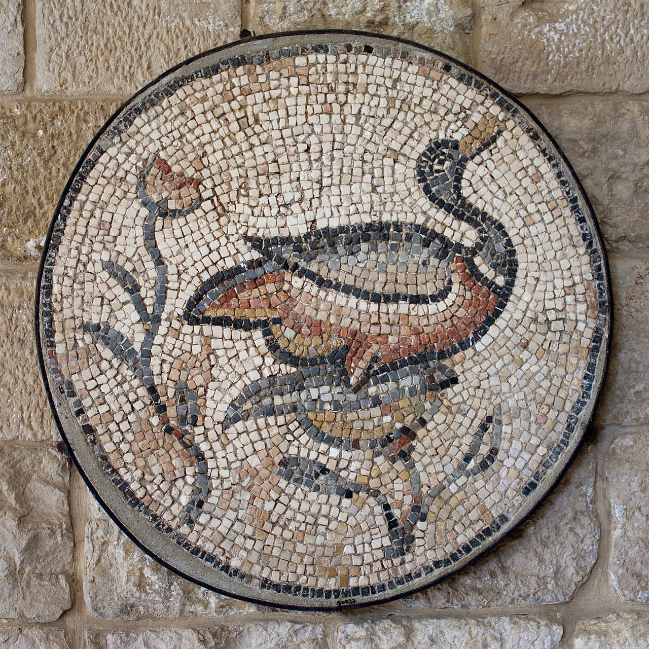 Foto fra Libanon – Beiteddine - canard