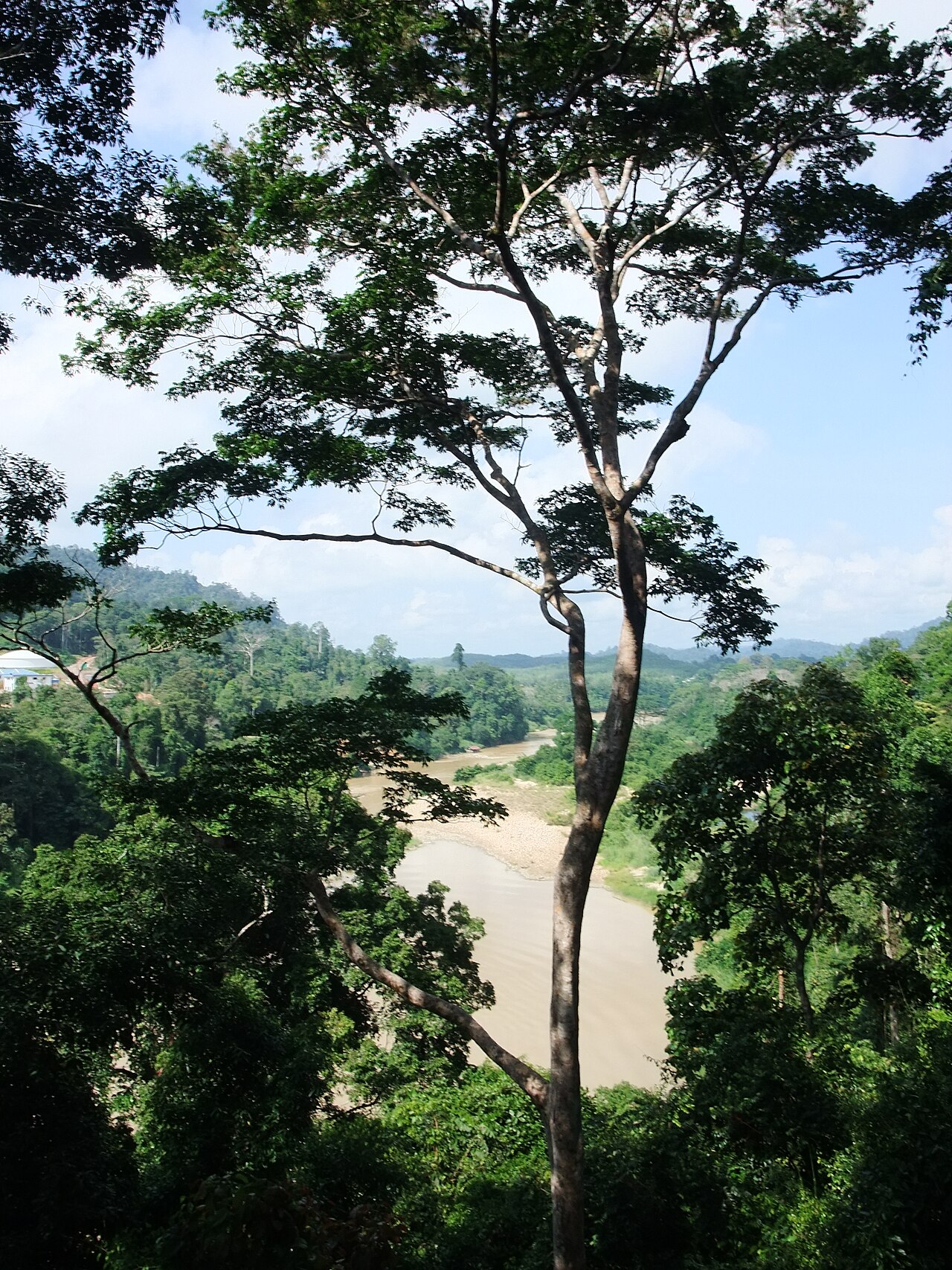 Foto fra Taman Negara, Malaysia – Taman Negara Sungai Tembeling