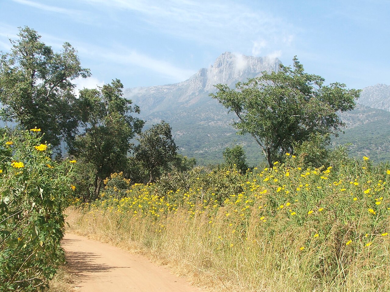 Foto fra Mount Mulanje, Malawi – Mount Mulanje Mozambique