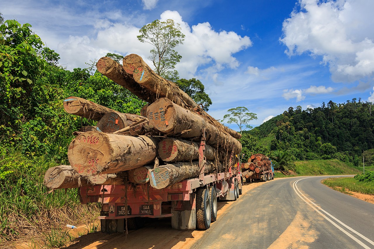 Foto fra Sabah, Malaysia – District-Tawau Sabah Logging-Trucks-01