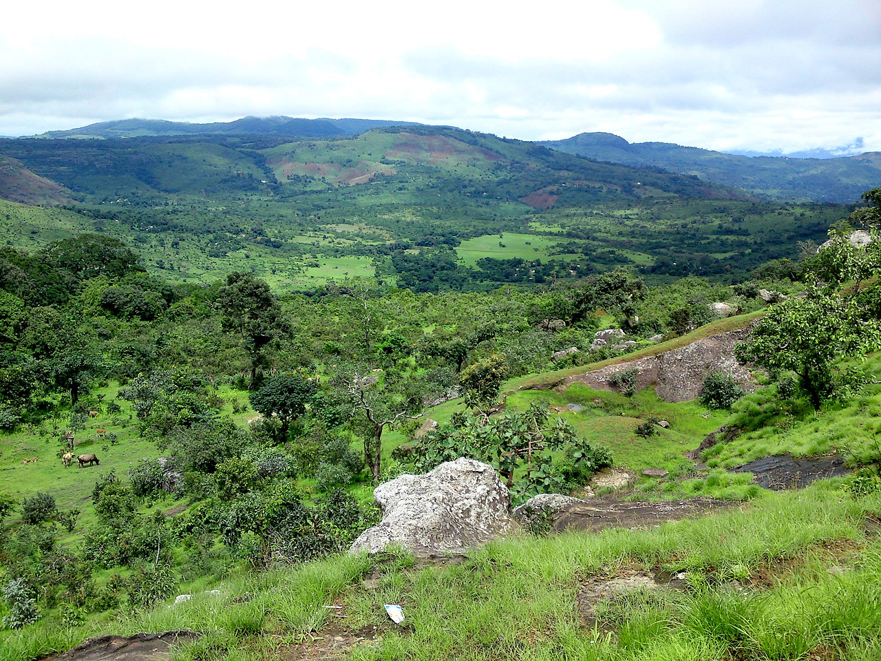 Foto fra Guinea – Fouta Djallon