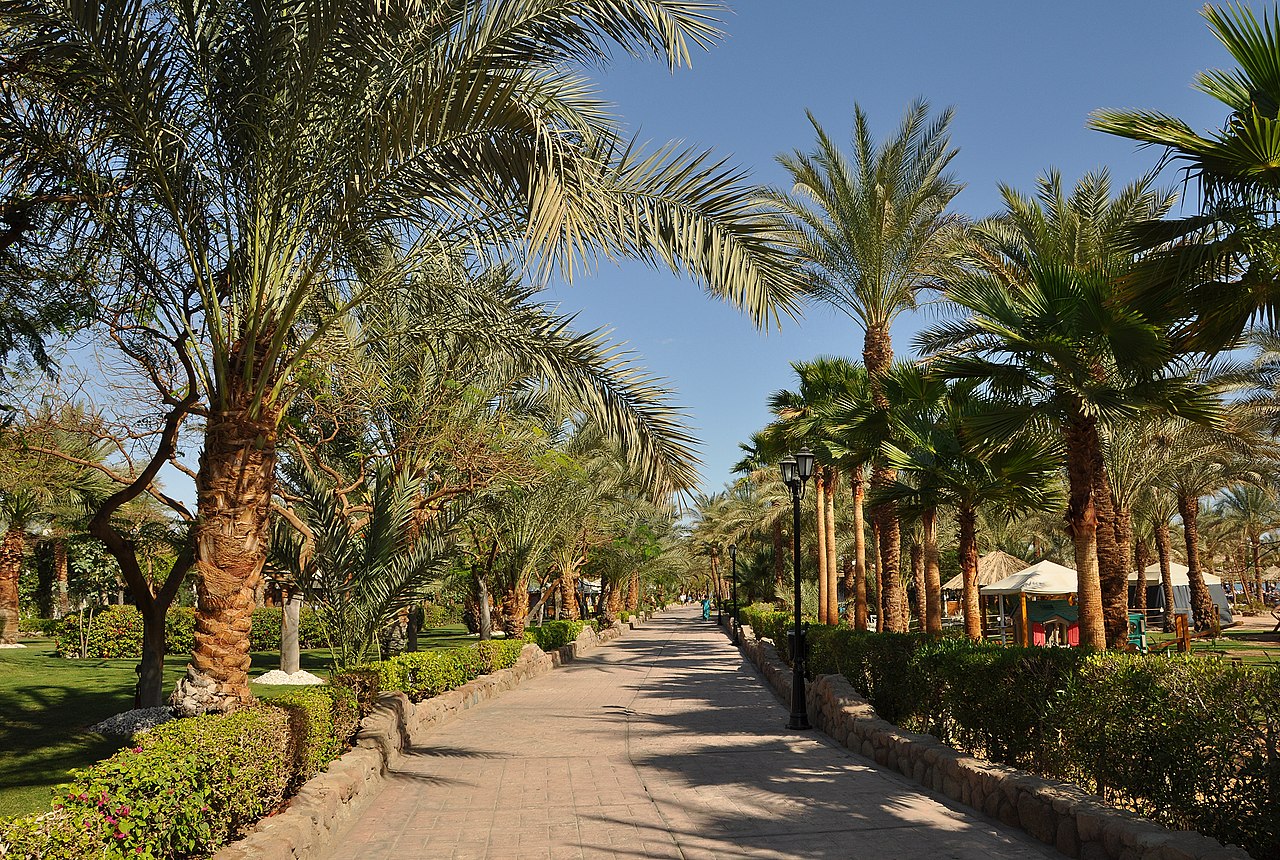 Foto fra Sharm El-Sheik, Egypt – Naama Bay Promenade R03