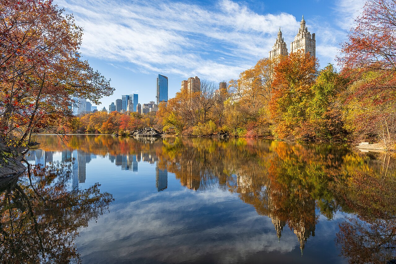 Foto fra New York City, USA – -11-19-Central Park-0669