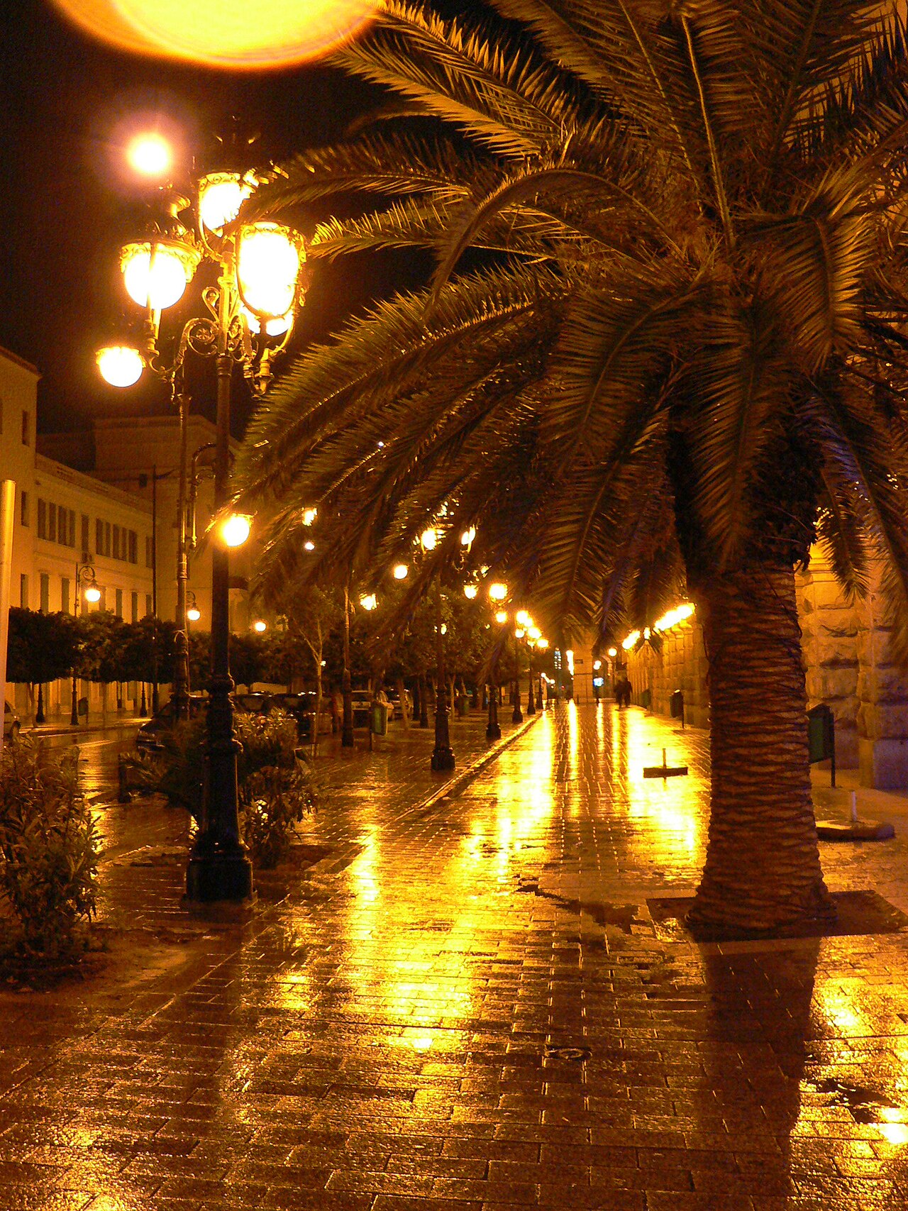 Foto fra Tunis, Tunisia – August Moon
