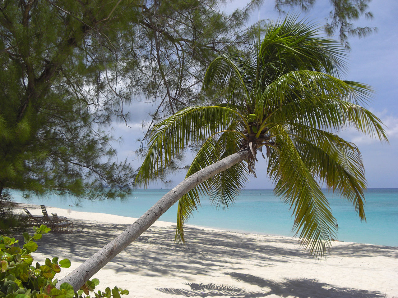 Caymanøyene