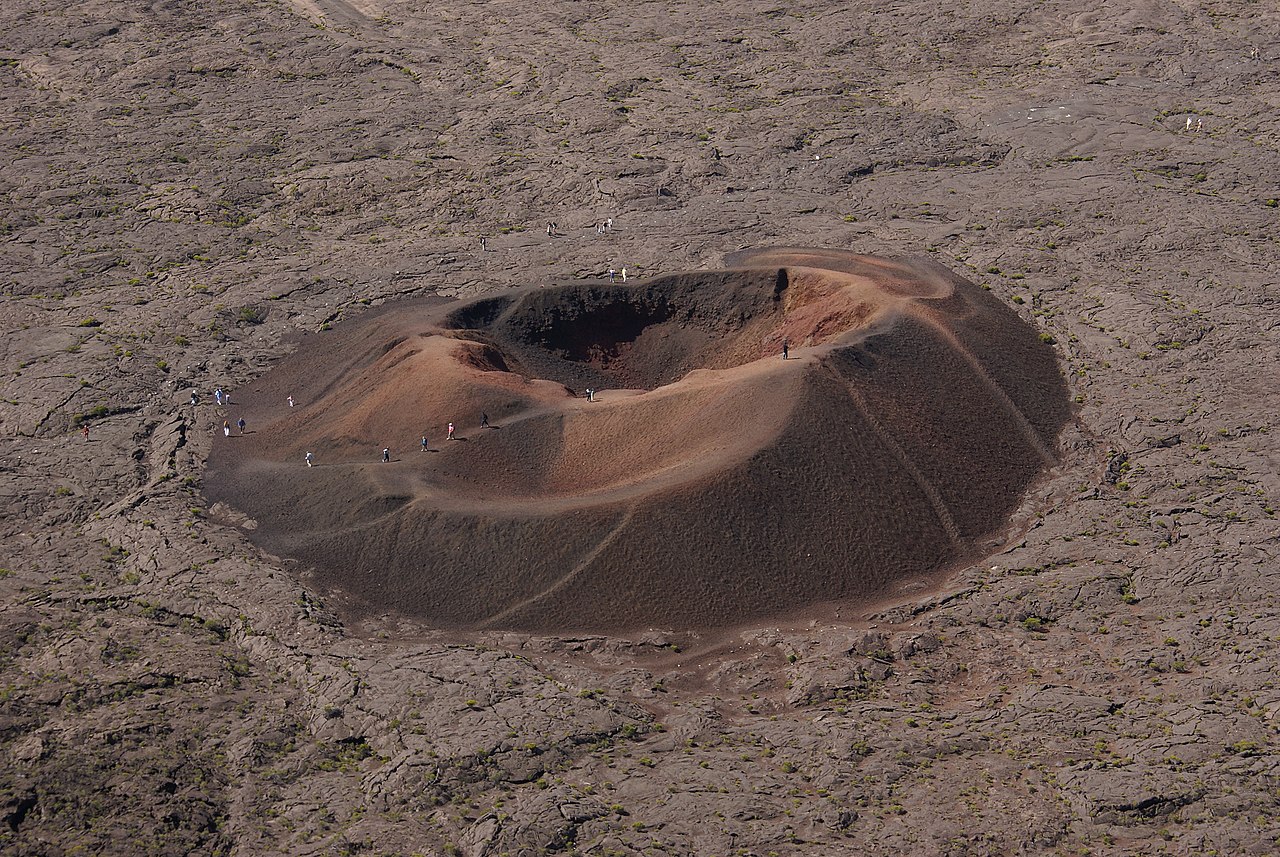 Foto fra Réunion – FormicaLeo