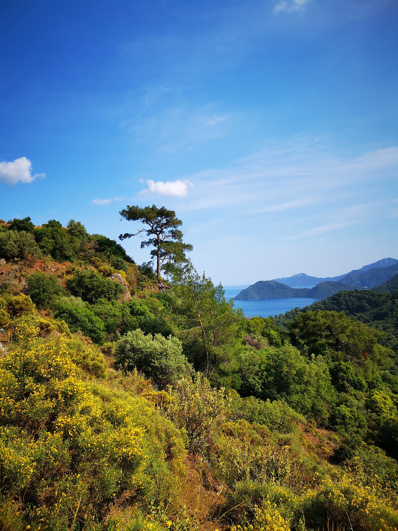 Marmaris
