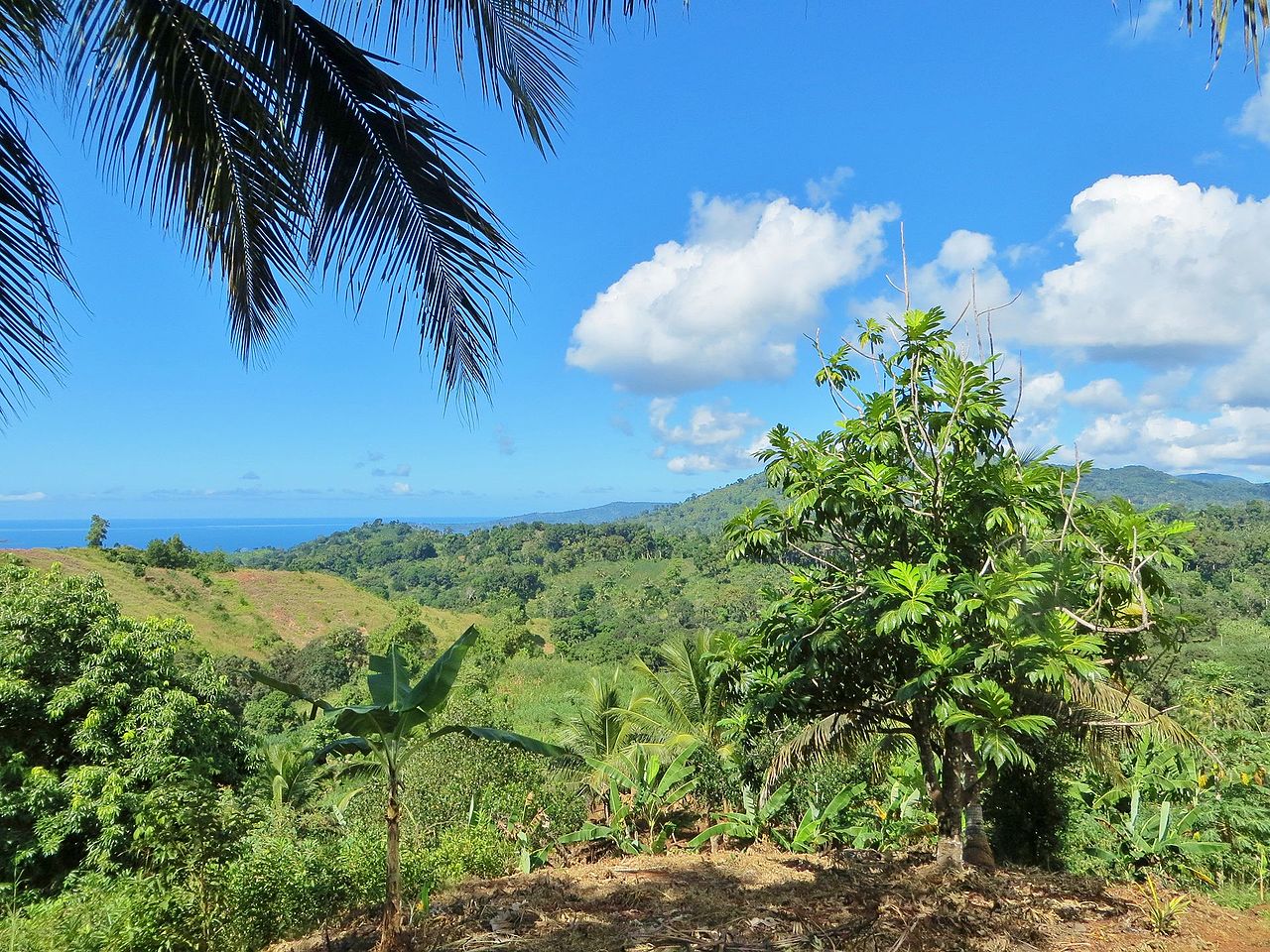 Foto fra Mayotte, Komorene – Agropaysage mahorais
