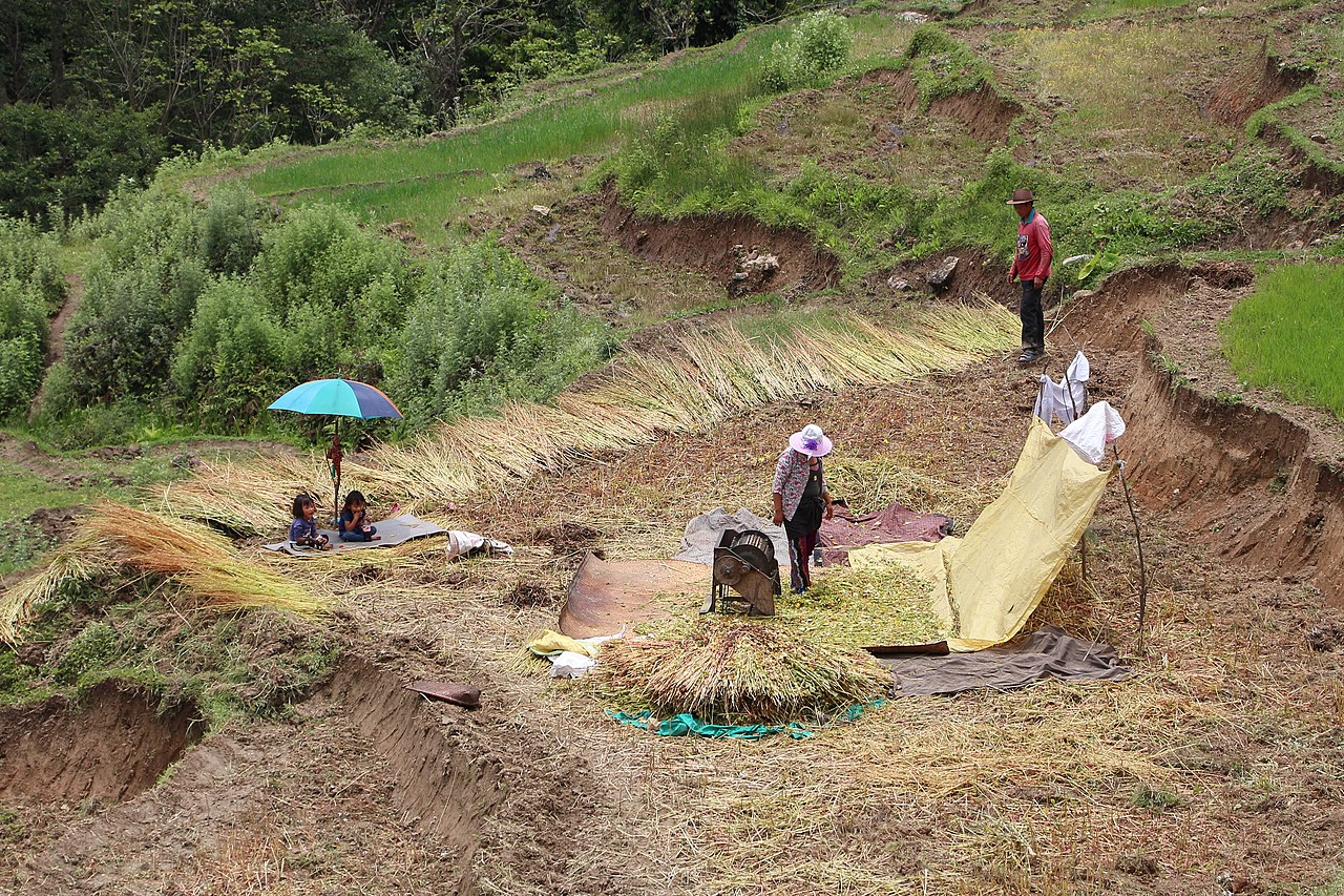 Foto fra Bhutan – Agriculture in Bhutan 03